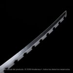 Katana Kensei Nichirin – Inosuke Hashibira - Imagem 5