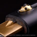 Shirasaya Kensei Tentōmushi - Imagem 5