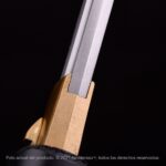 Shirasaya Kensei Tentōmushi - Imagem 8