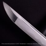 Shirasaya Kensei Tentōmushi - Imagem 9