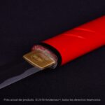 Shikomi Zue Kensei Zatoichi – Takeshi Kitano - Imagem 2