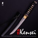 Tantō Hamidashi Kensei Kurohyō