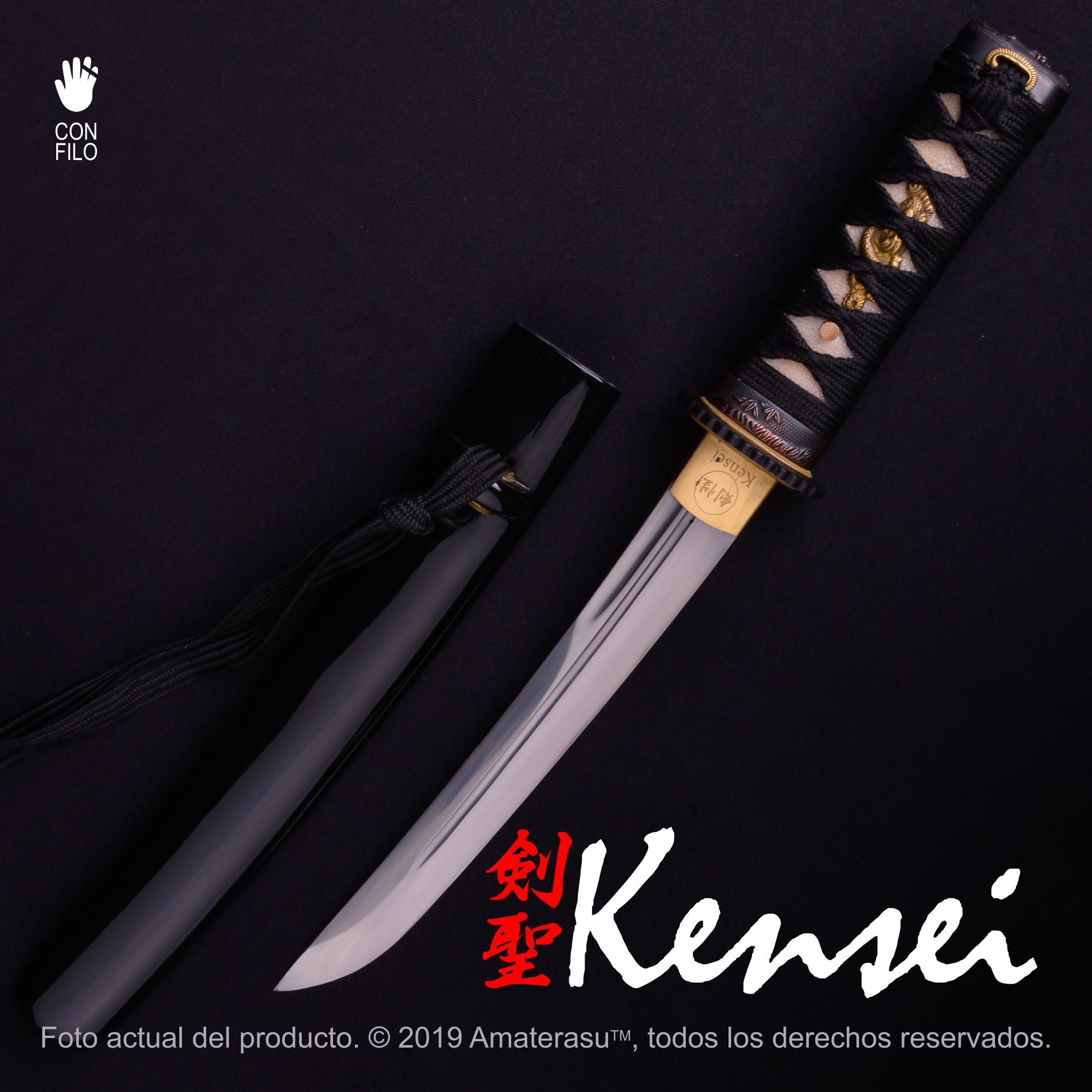 Tantō Hamidashi Kensei Kurohyō