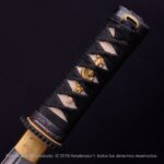 Tantō Hamidashi Kensei Kurohyō - Imagem 4