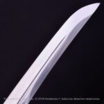 Tantō Hamidashi Kensei Kurohyō - Imagem 8