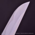 Tanto Kensei Aikuchi Zatoichi - Imagem 7