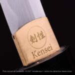 Tanto Kensei Aikuchi Amaya - Imagem 5