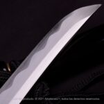 Tanto Kensei Aikuchi Amaya - Imagem 7